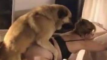 Fat mommy lets her beloved pet eat her leaking pussy
