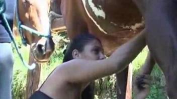 Lustful Latina deepthroats a horse's hot boner