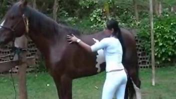 Girl handjob horse outdoor