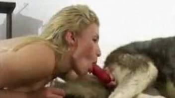 Blonde with slicked back hair sucking on a dog's cock