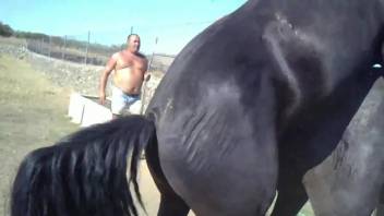 Hard fucking scene with two really sexy animals