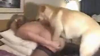 Mature lady in nylons ravaged by a frisky pup