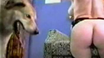 Intense sex scene with two hot moms and their canine pet