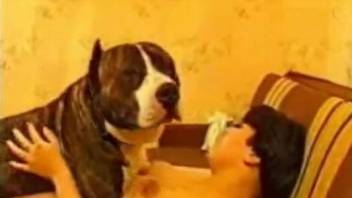 Dark-haired MILF penetrated by a serious-looking doggo