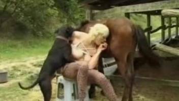 Busty MILF about to get double-teamed by horse and dog