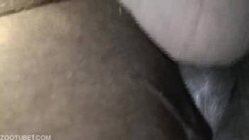 Guy rams his meaty shaft deep into this filly's cunt