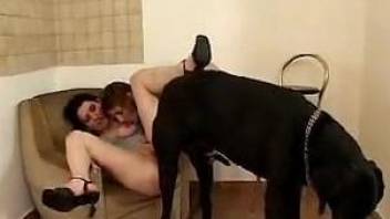 Two bisexual bitches getting fucked by the same dog