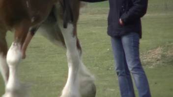 Hot stud nonchalantly flaunting his enormous cock