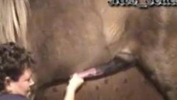 Curly MILF jerking a horse's massive boner on cam