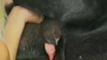 Black dog shows naked woman the real orgasms
