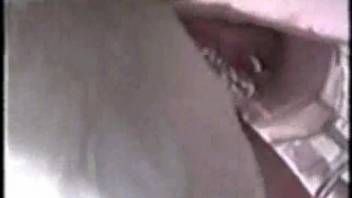 Collection of intense, detailed sexual encounters involving canines