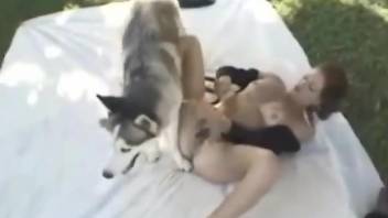 Hairy pussy babe getting fucked by a white pooch