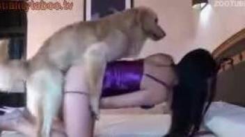 Horny animal dominating a brunette's oozing pussy