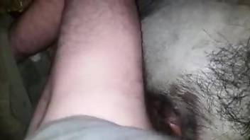 Horny guy's hard cock penetrating an animal's wet hole