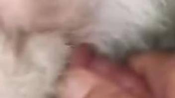 Dude drilling a sexy animal in a close-up POV scene
