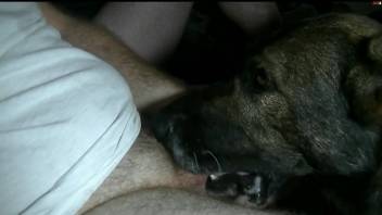 Dude with a thick dick gets to face-fuck his doggo