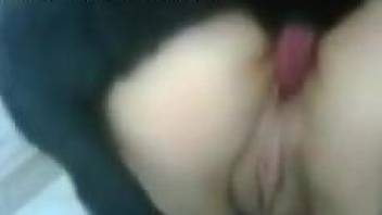 Asian bestiality video showing a horny babe with a tight cunt