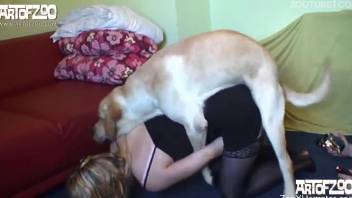 Fun-loving blonde in stockings fucks her dog