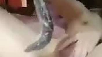 Asian camgirl fucking a disgusting snake like creature