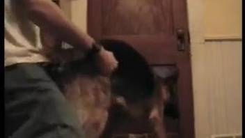 Guy fucking his sexy dog in front of a wooden door