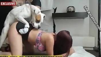 Redhead with a lean  booty gets creampied by a mutt