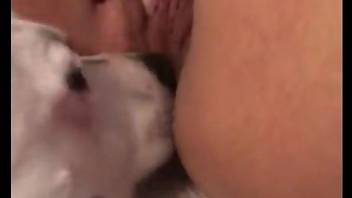 Big ass wife lets her dog join the fun and lick her wet cunt