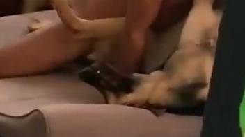 Dude enjoying rough action with a really submissive dog