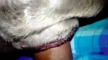 Dude using his massive cock to fuck a creature's pussy