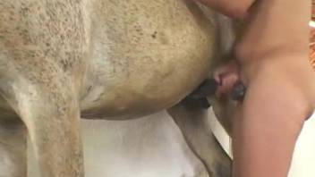 Latina woman lands entire horse in the pussy
