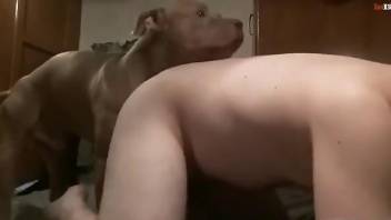 Nude man endures dog's whole cock right up the ass hole