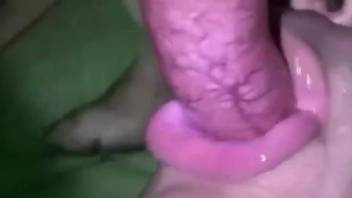 Sexy guy swallowing fresh semen in front of the camera