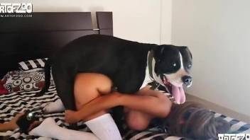 Sexy women taking turns with a really horny dog