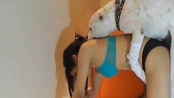 Lingerie-wearing gal getting fucked by a white dog
