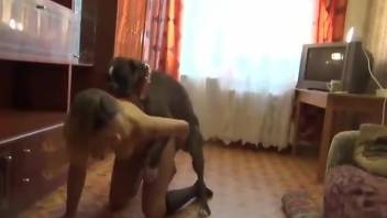 Russian brunette degraded in a dog zoo porn movie