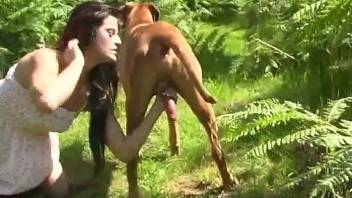 Mature gags with a huge dog dick in sexy outdoor XXX
