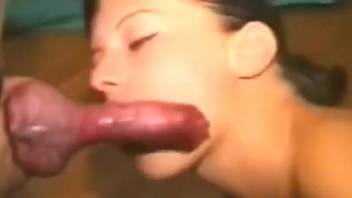 Hot ass babe sucks the dog's dick and fucks in insane manners