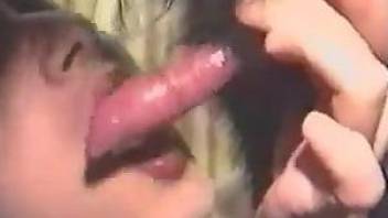 Hot bitch licking all over that delicious penis