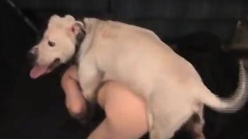 Round booty zoophile getting dicked down by a dog