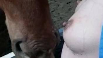 Crazy scenes of zoo porn with a babe and the horse