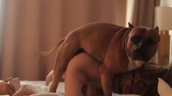 Strong dog perversions on cam for a masked model with great ass