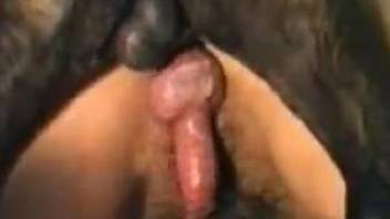 Blonde with a hairy slit getting fucked by a dog