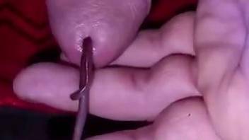 Aroused man feels like putting this worm into his dick
