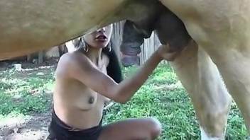 Latina brunette throats giant horse dick until the last drops