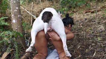 Busty brunette gets steamy fucking with her dog