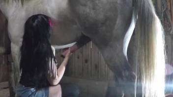 Thin woman tries rough sex with a horse in limitless XXX