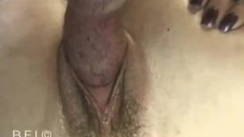 Hairy pussy blonde banged by a thick dog cock