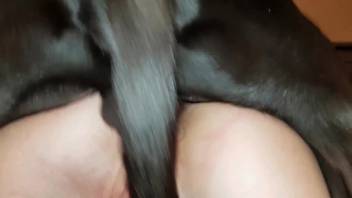 Blonde in disguise posts exclusive webcam footage of herself having sex with a dog