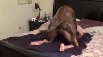 Sexy zoophile getting pounded from behind on the bed