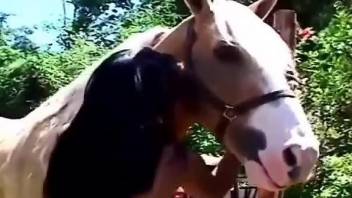 Latina throats endless horse cock until it explodes on her face