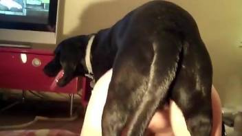 White socks babe getting dominated by a filthy dog
